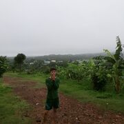 nguyenuthoa