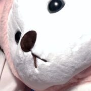 LamIUY