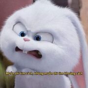 Muondusuotdem