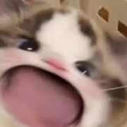 meocanbo