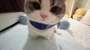 lộ clip