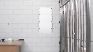 Cảnh sát và tội phạm 2