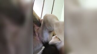 Em sướng quá em ơi