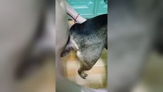Sướng vãi C