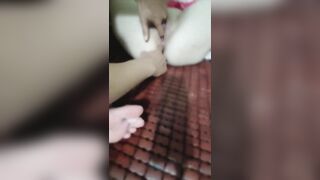 Cùng Lúc Móc Lồn Móc Lỗ Đít Bạn Gái Làm Em Lên Đỉnh Liên Tục