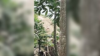 Đôi nam nữ lên núi nghỉ lễ rồi hoà mình vào thiên nhiên ngay trên đống cát