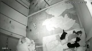Những chú cún khát nước