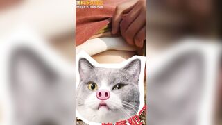 ❗️Thanh niên dụ con gái nhà người ta lên rừng d*t công nhận b,,é kiểu mới lớn dú căng