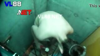 Bộ này chưa thấy ai trong đây up nên up cho ae xem chung