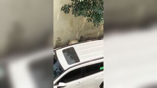 Quay lén đái bậy