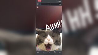 Ometv 4