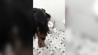 Em gái bị xuất trong vào nhà wc rửa r khóc lóc