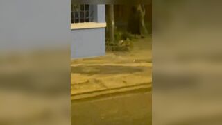 Đang đi dạo thì bị dâm nữ gạ chịch nên chịch ngay trước nhà