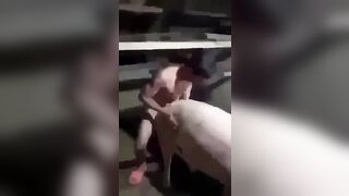 Nữa đêm hai bố con nwng quá........