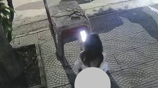 Em gái ngành đái bậy chưa kịp lau mép bím phải gấp đi tiếp khách