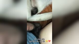 Cặc to địt lồn chó cái cực phê
