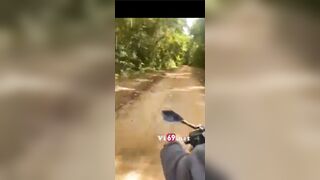 Hành trình vượt 100km để được chs trần r học sinh trong rừng siêu hay
