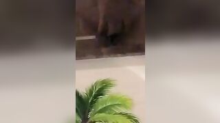 E gái xoa lồn cạ bím vào gương nước bắn hết vào gương nhìn nứng cu vl