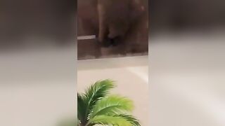 E gái xoa lồn cạ bím vào gương nước bắn hết vào gương nhìn nứng cu vl