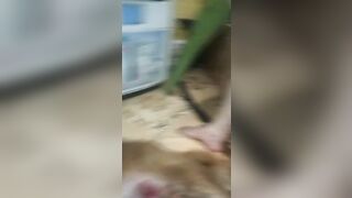 Con chó thì bé mà vợ thì to bắn vợ đè lên cho r cho chó xuất tinh vào lồn