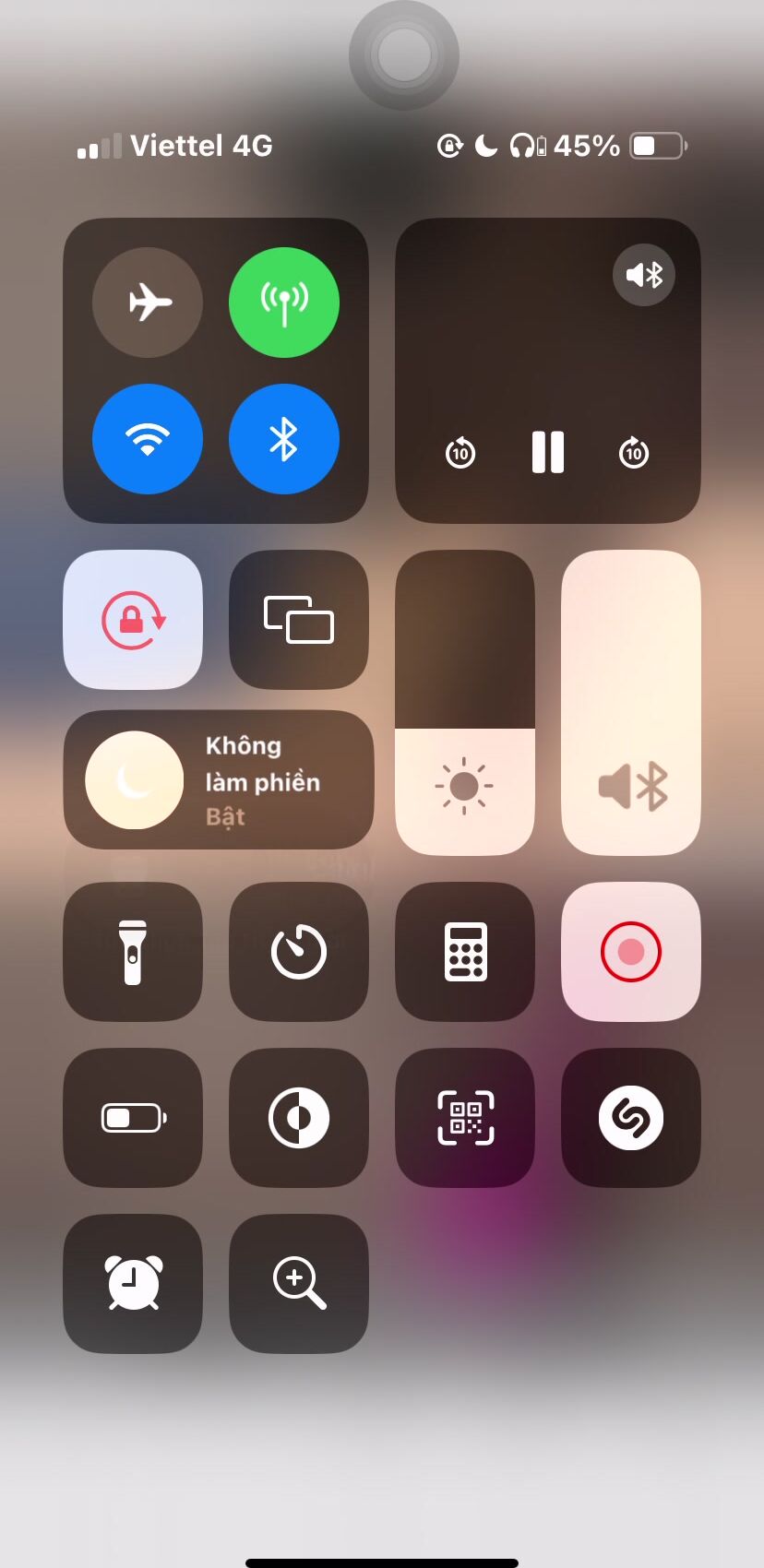 Stripchat 58