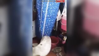 Trai china đụ chó