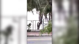 2 e học sinh bạo thật, Ra giữa cao tốc địt nhau bao nhiêu người qua lại