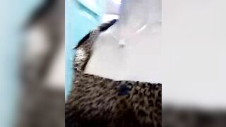 Cô giáo mầm non show hàng 28