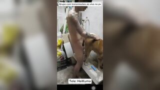 Trai thái chịch chó