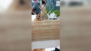 Em sinh viên trường đại học Công nghiệp vừa chơi em vừa kể lúc làm tình