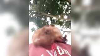emily9x lén thủ dâm ngoàI sân và cái kết🌚🌚 chắc ai cx đoán đc r