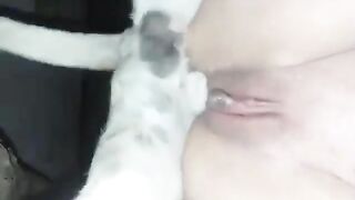 EM GÁI NỨNG QUÁ LẤY CHÓ RA ĐỤ