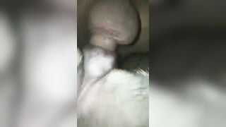 đụ chó dính lẹo