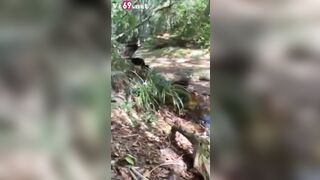 Vượt cả trăm km để địt nhau mà hết tiền nên vào Rừng public chs trần