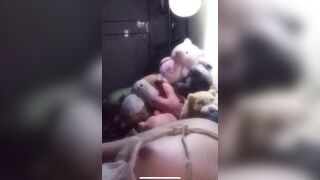 Chị Họ    Đã vú non còn mông to
