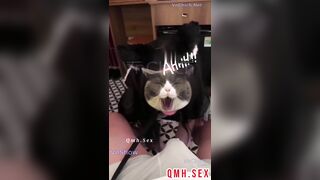 Được nghỉ hè biến múi mít thành nô lệ chó đĩ cho lũ bạn some