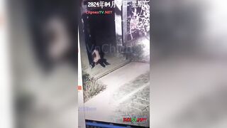 Vãi Cả Lồn 2 e học sinh thản nhiên địt nhau ở sân nhà người ta bị chủ đuổi