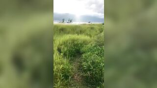 lén lút buscu cậu bé chăn trâu ngoài đồng cỏ nơi vắng người!