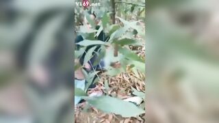 Phát hiện ông cụ u80 dẫn cháu gái lên núi địt trần loạn luân