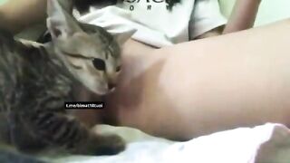 Em Cực Non Cực Dâm Nhét Mọi Thứ Vô Lồn , Đổ Cả Sữa Lên Lồn Cho Mèo Bú 🥵 (phần 1)