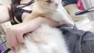 Nhỏ đang làm tóc ôm mèo vẫn tranh thủ khoe zú, khoe body, khoe quần lót ~~