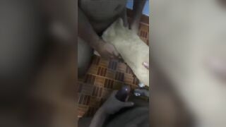 Thú cưng 🐕