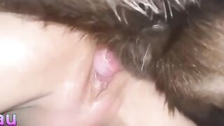 Một lần thử làm tình với chó