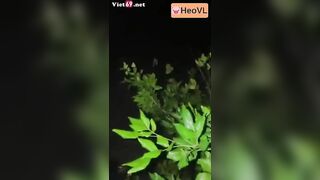 Độc lạ 500 đô gạ người lạ vào rừng bú cu xuất lên mặt sướng vl ra