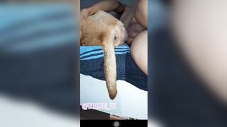 Sưu tầm 2.1