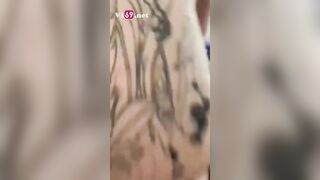 Huyền Lisa em mút còn soi đèn check cả nốt rồi của anh nữa