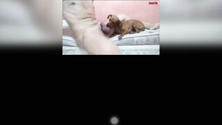Cặc to đụ em lạp xưởng
