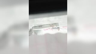 Quay lén e gái non tơ tắm