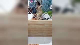 Sao m djt t mà cứ quay video thế, e nó dỗi chửi xong khóc thương vl