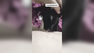 Bé 2k9 Mới Lớn Cho Chó Bú Lồn Còn Kêu Bú Miếng Đi Bú Miếng Đi Nứng Thiệt